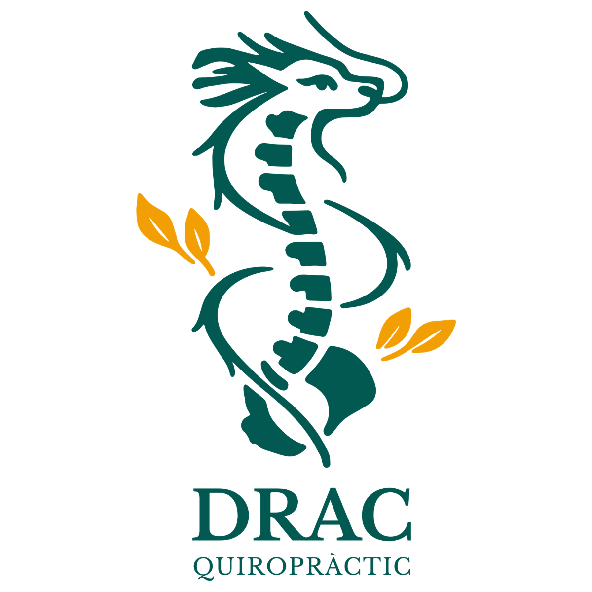 Drac Quiropràctic