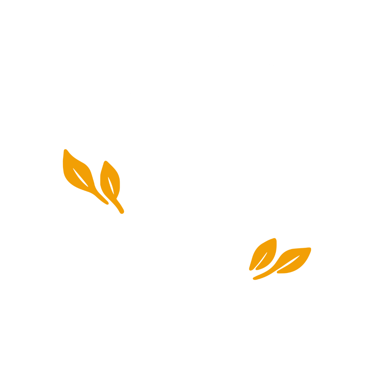 Drac Quiropràctic